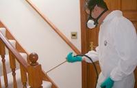 Pest Control Seaford