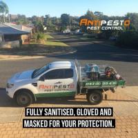 Antipesto Pest Control
