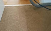 Carpet Cleaning Cammeray
