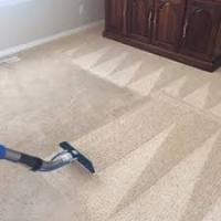 Carpet Cleaning Coogee