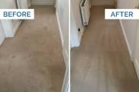Carpet Cleaning Rosebery