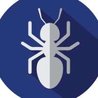 City Pest Control Services