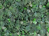 Find Backdrop Hire Adelaide at Ever After Entertainment. we have specialise team in event, festival, wedding and Backdrop Hire Adelaide to know more call us at 0432033779.