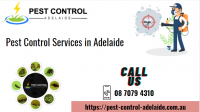 Pest Control Adelaide