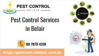 Pest Control Belair