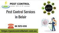Pest Control Belair