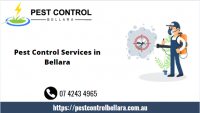 Pest Control Bellara