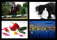 Product Photography

    Person & Sport Photography

    Pet Photography

    Equestrian Photography

    Architectural Photography

    Landscape Photography

    Wedding Photography