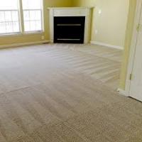 Carpet Cleaning Botany