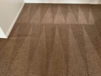 Carpet Cleaning Moorooka