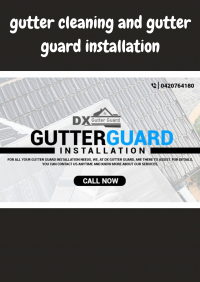 DX Gutter Guard
