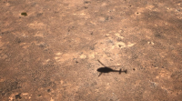 Helicraft Australia