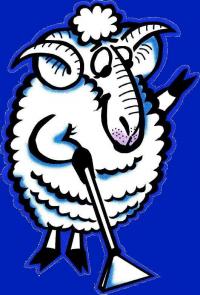 Jumbuck Cleaning & Restoration