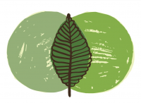 Melbourne Combined Natural Therapies