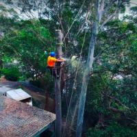 Integrity Tree Services