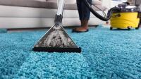 Kangaroo Carpet Cleaning Brisbane