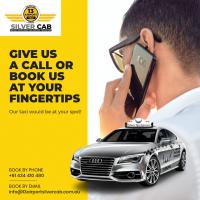 13 Airport Silver Cab