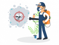 Pest Control Carindale