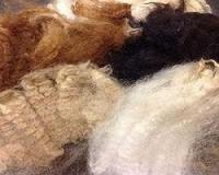 Fibre Testing Australia - Micron Man