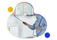 Termite Control Adelaide