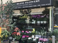 Bless Flowers Double Bay