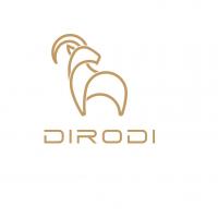 DiroDi Electric Bikes & Scooters
