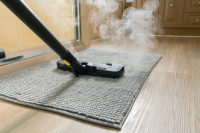 Expert Carpet Cleaning Sydney