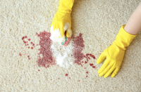 Fresh Clean Carpet Cleaning Perth