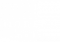 Modern Pets