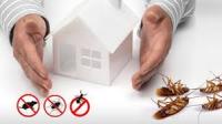 Pest Control Hamilton