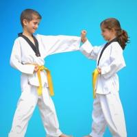 Pinnacle Martial Arts Self Defence in Marrickville for kids, teens & adults of all ages & levels
