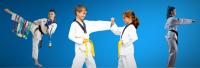 Pinnacle Taekwondo Martial Arts in Earlwood for kids teens & adults