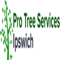 Pro Tree Services Townsville