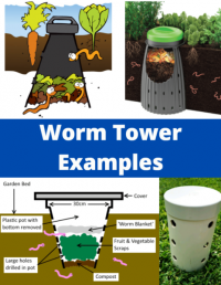 Worm Tower Examples