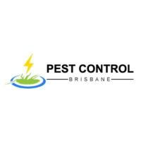 Best Pest Control Brisbane