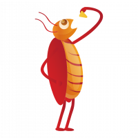 Best Pest Control Coorparoo