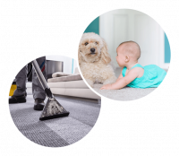 Karl's Cleaning Services