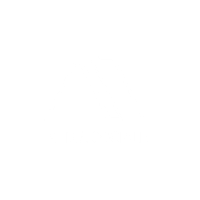 Media Sociale