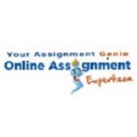 Online Assignment Expert
