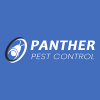 Pest Control Brisbane