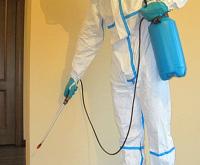 Pest Control Ringwood