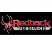 RedBackTree Services