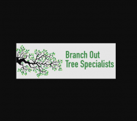 Branch Out Tree Specialist - Arborist Sydney North Shore