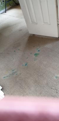 Dynamic Carpet Cleaners