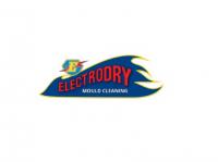 Electrodry Mould Removal