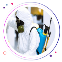 SES Termite Control Hobart