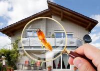 Termite Control Perth