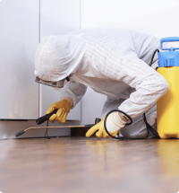 Possum removal specialist