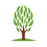 Tree Lopping Logan Co - Jimboomba