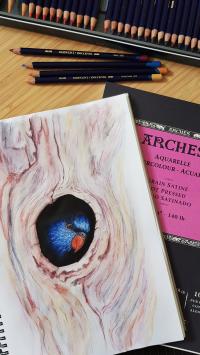 Lots of new images and products regularly being added to our website at https://www.stuckonart.com.au